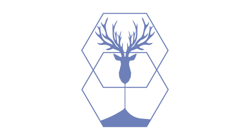 CARSON Logo
