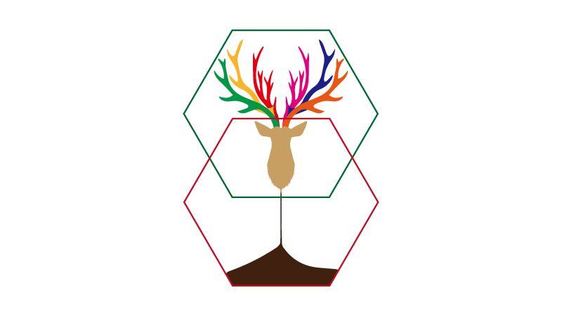 CARSON Logo